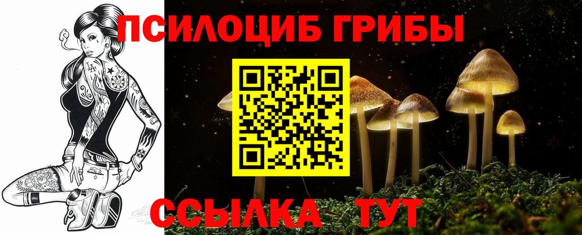 Псилоцибиновые грибы мицелий Томск