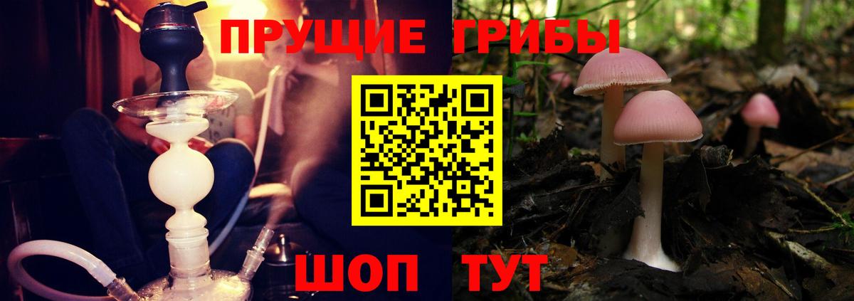 Псилоцибиновые грибы прущие грибы  Вход с VPN  Галлюциногенные грибы MAGIC MUSHROOMS  Томск 